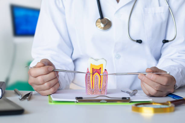 Best Emergency Dental Care for Broken or Chipped Teeth in St Marys, OH